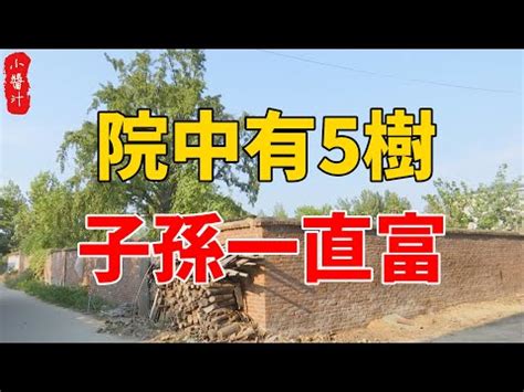 陽樹種類|陰樹陽樹大比拼